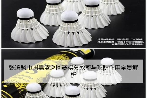 zhang-zhen-lin-zhong-guo-nan-lan-xun-hui-sai-de-fen-xiao-lv-yu-gong-fang-zuo-yong-quan-jing-jie-xi-2-579.jpg
